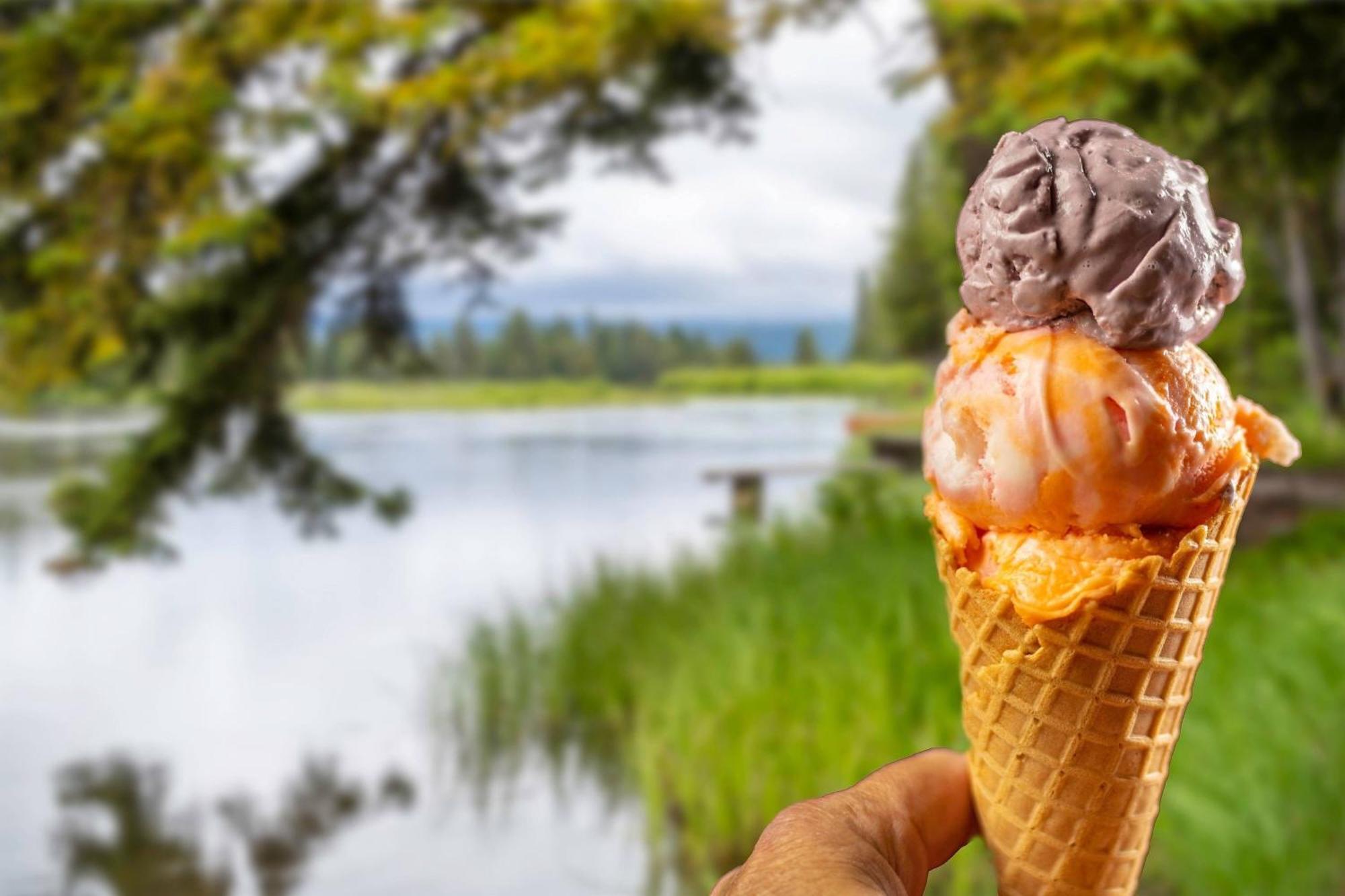 Springhill Suites Island Park Yellowstone Екстер'єр фото